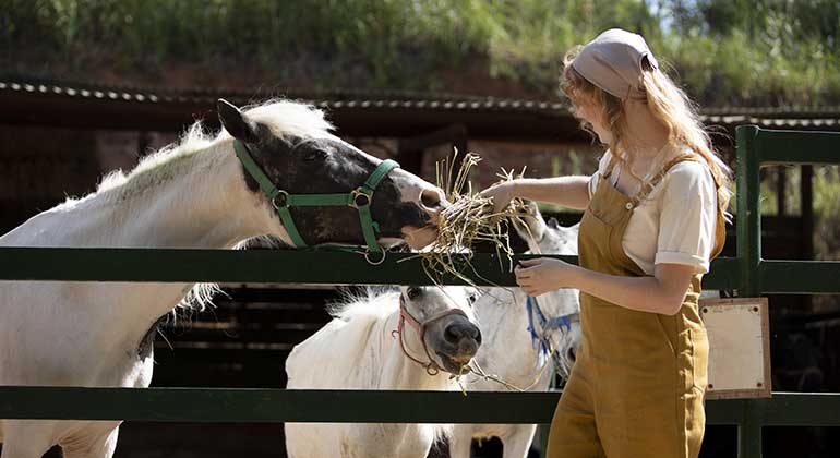 medium-shot-woman-feeding-animals-1